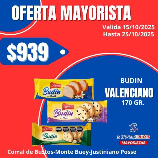 BUDIN VALENCIANO C/CHIPS X 170G.