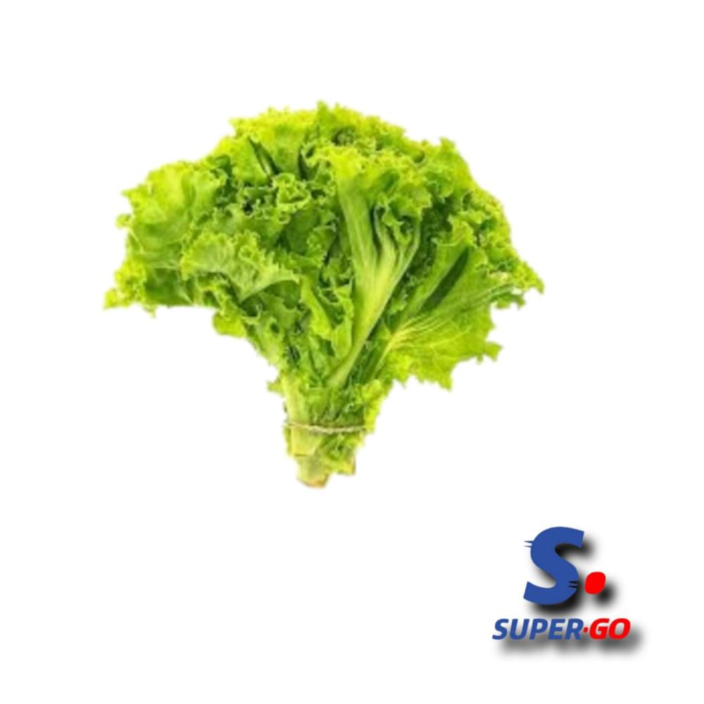 LECHUGA MAYORISTA CRESPA X KG.