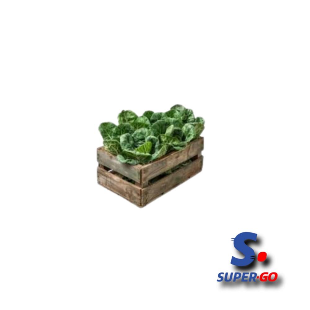 ACELGA MAYORISTA X CAJON