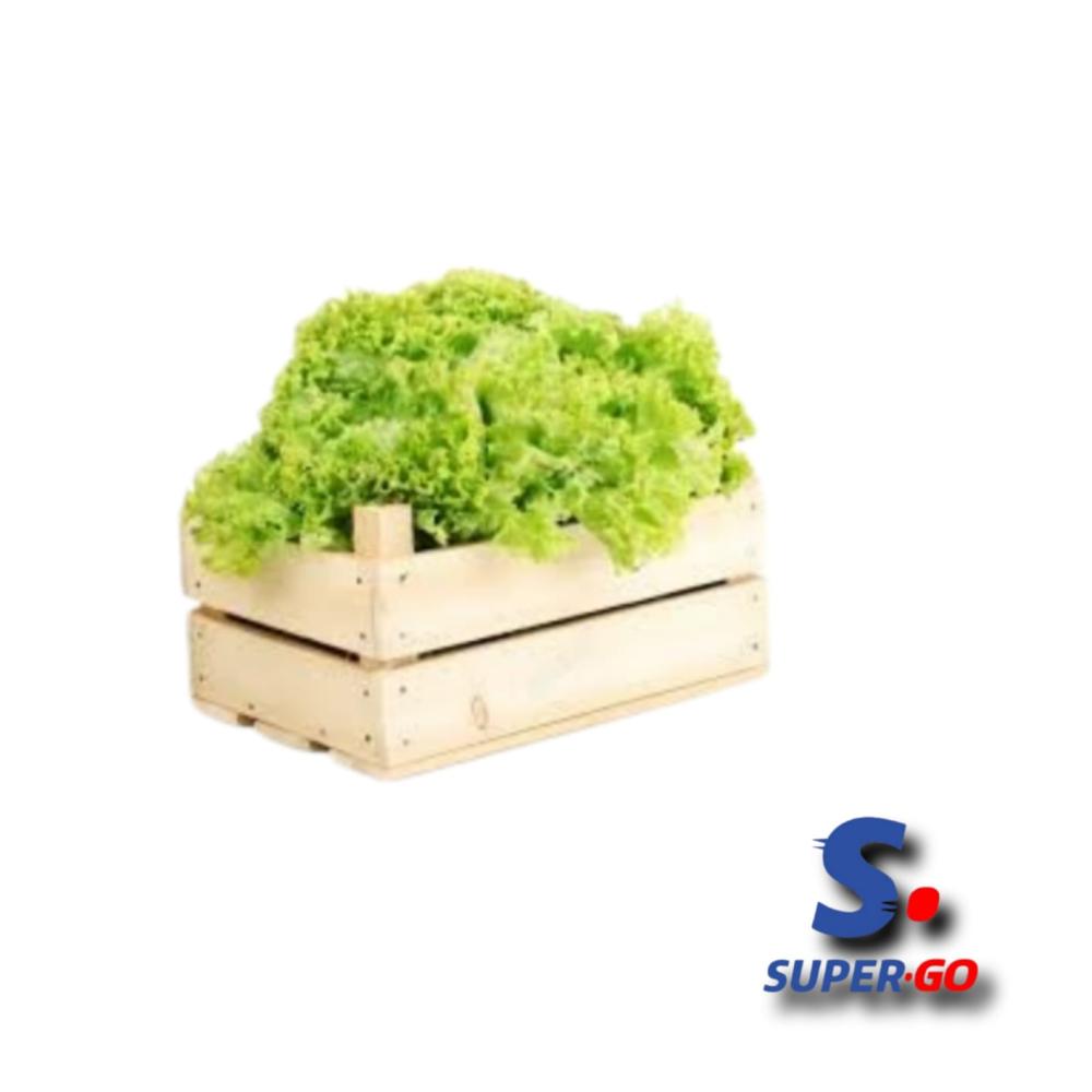 LECHUGA MAYORISTA CRESPA X CAJON