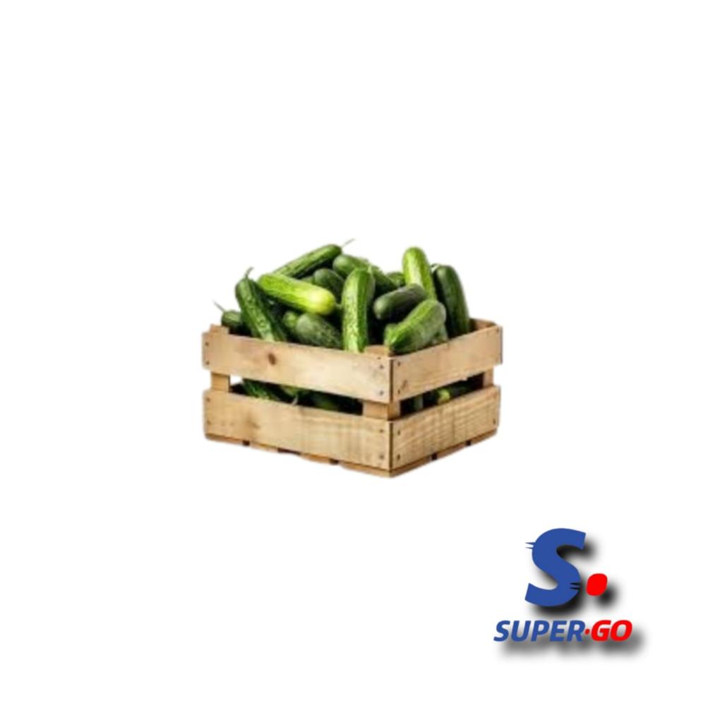 PEPINOS MAYORISTA X CAJON