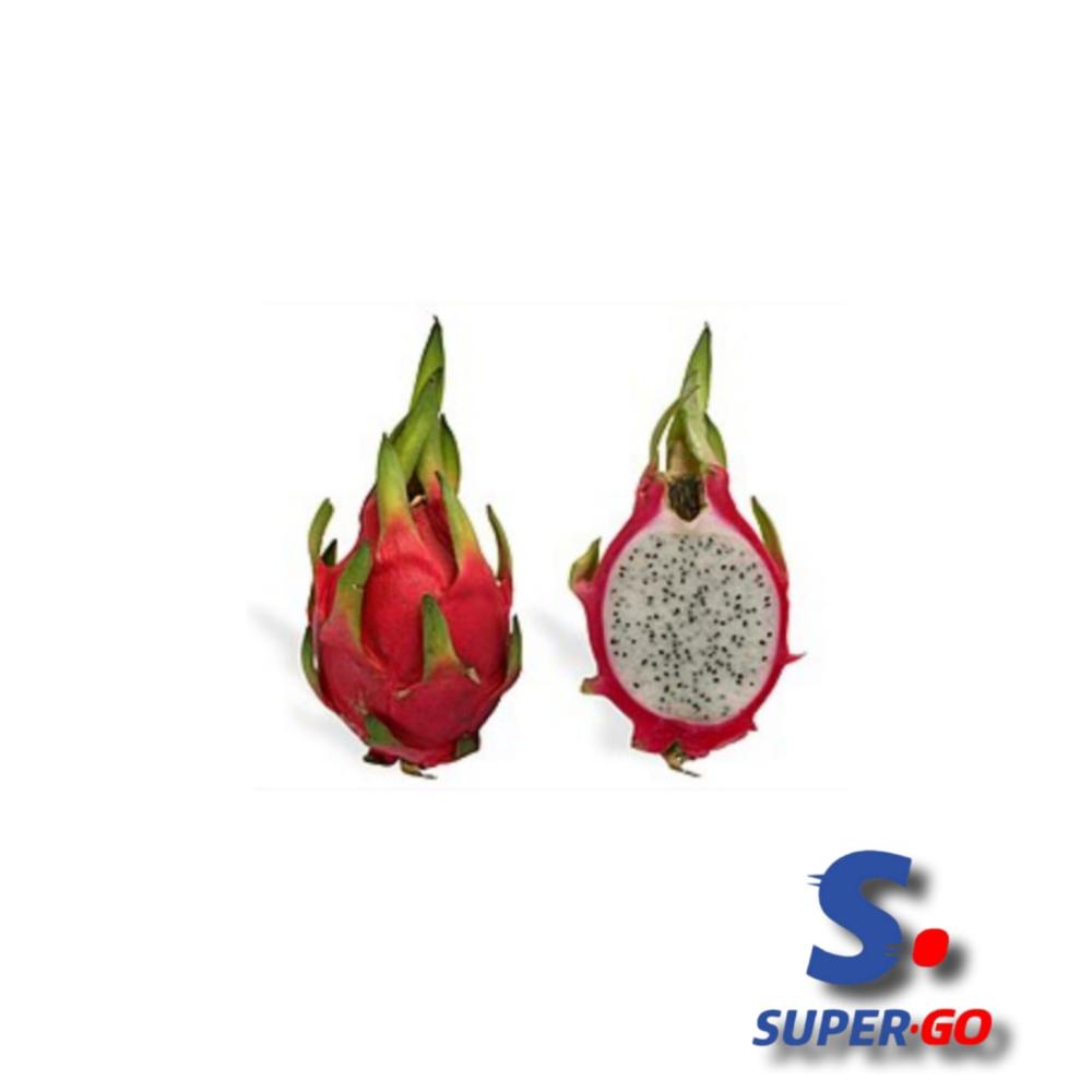 PITAHAYA MAYORISTA 
