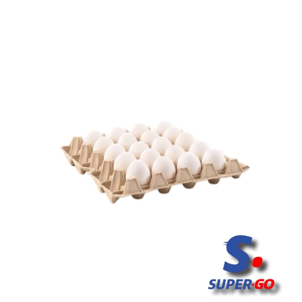 HUEVOS MAYORISTA MAPLE