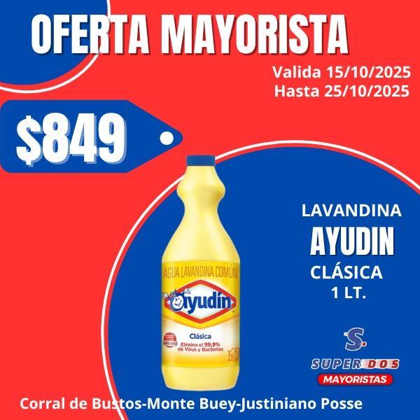 LAVANDINA AYUDIN CLASICA X 1L.