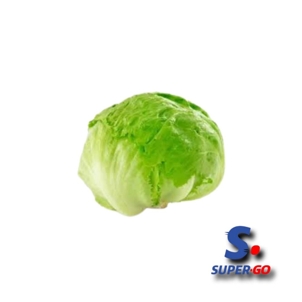 LECHUGA REPOLLADA X KG.
